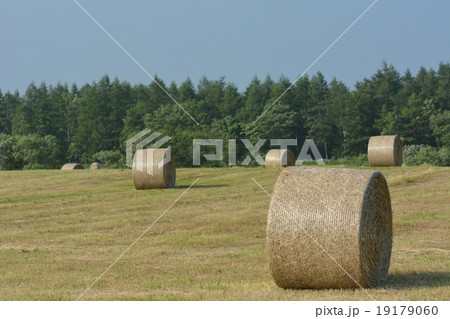 牧草ロール 19179060
