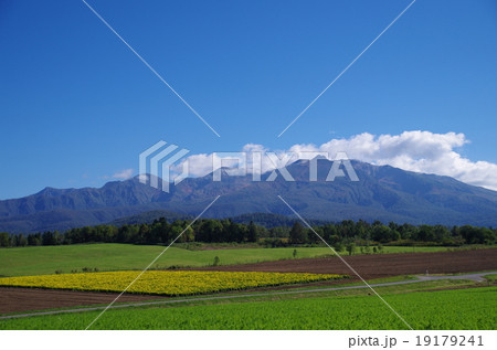 北海道の風景 19179241