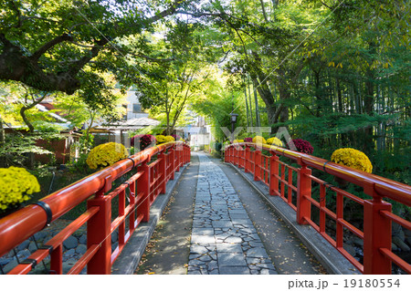 修善寺　桂橋 19180554