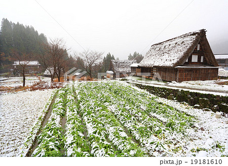 世界遺産五箇山合掌造り集落 世界遺産五箇山合掌造り集落 19181610