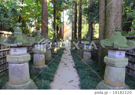 平林寺の紅葉 19182220