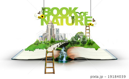 Open book with green nature Open book with green nature 19184039