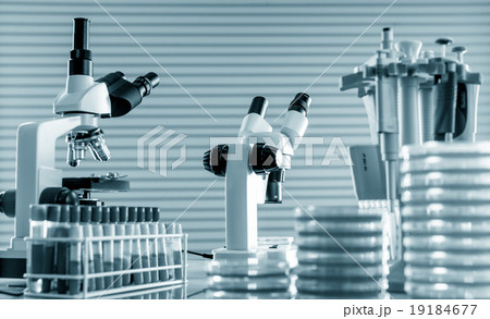 microscope and petri dishes in scientific lab  microscope and petri dishes in scientific lab  19184677