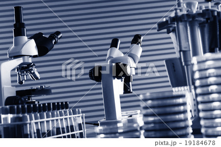 Laboratory work place with microscope Laboratory work place with microscope 19184678