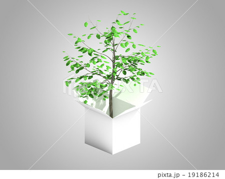 A tree growing from a white cardboard box 19186214