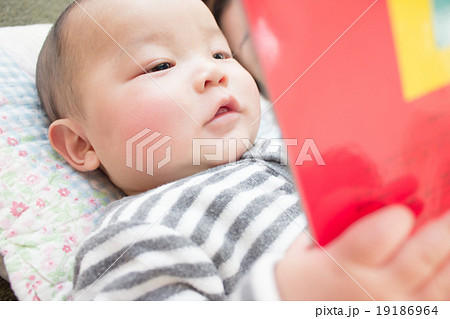 5 months old 19186964