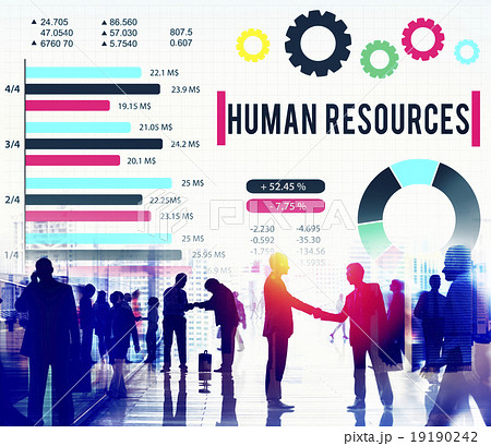 Human Resources Employment Career Plan Concept 19190242