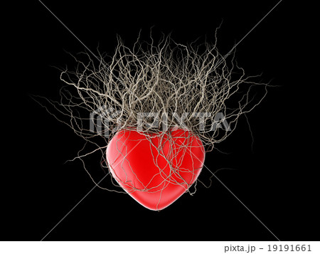 Brown's roots grew out of a red heart 19191661