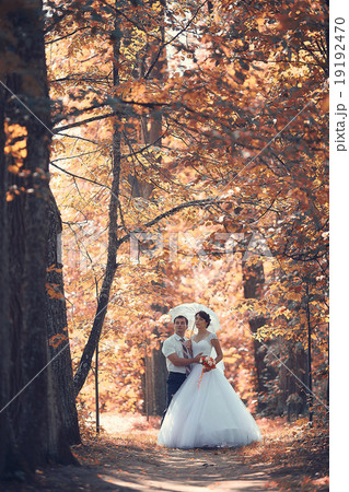 wedding portrait autumn nature wedding portrait autumn nature 19192470