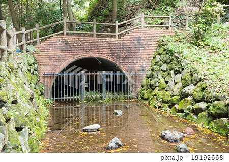 秋の柿田川公園 19192668