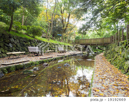 秋の柿田川公園　湧水広場 19192669