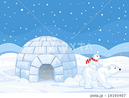 Polar Bear Mom and Baby 19193407