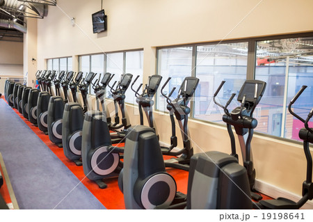 Collection of cross trainer machines in a row Collection of cross trainer machines in a row 19198641