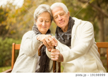 Senior couple in the park 19198999