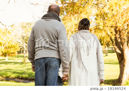 Rear view of senior peaceful couple 19199524