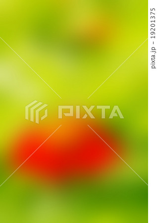 Awesome the abstract blur background Awesome the abstract blur background 19201375