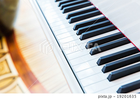 Piano keys Piano keys 19201635