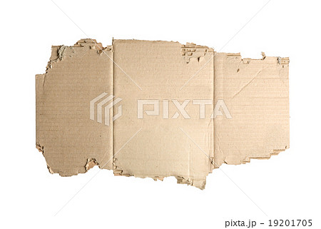 Brown corrugated cardboard torn isolated on white. 19201705