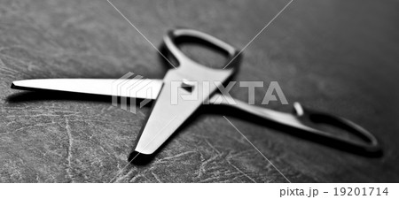 Scissors 19201714