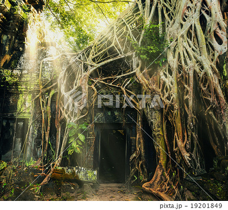 Temple in Angkor Thom Temple in Angkor Thom 19201849