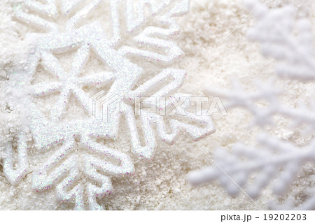 Snowflakes 19202203