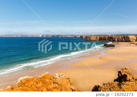 Calm tropical seaside 19202273