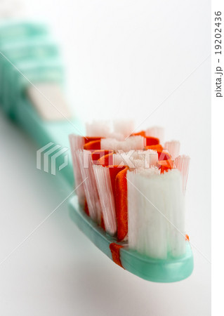 Toothbrush on white 19202436