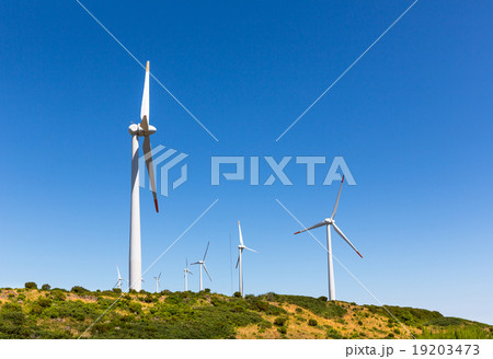 Windmills in the valley 19203473