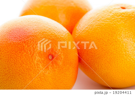 orange orange 19204411