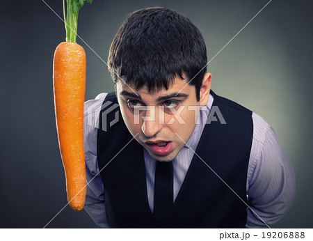 Bait metaphor 19206888