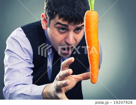 Bait metaphor 19207926