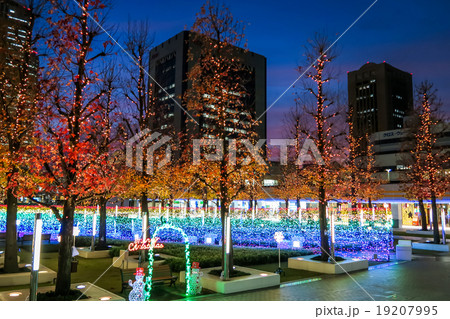 海浜幕張　MTGクリスマスイルミネーション 19207995