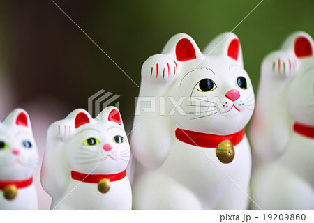 招き猫 招き猫 19209860