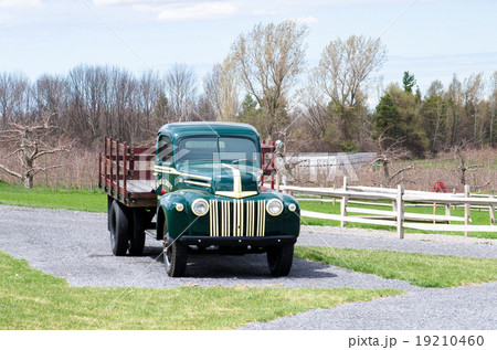 リンゴ園　シラキュース　ニューヨーク州 19210460