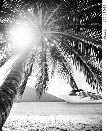 Summer Tropical Island Beach Cruise Ship Concept 19213042