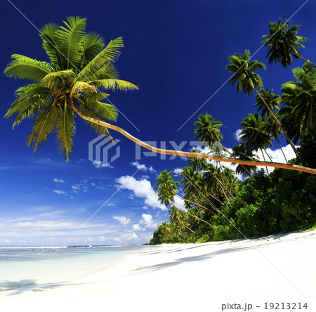 Summer Beach Tropical Paradise Seascape Concept 19213214