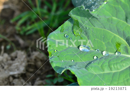 old obsolete colored floppy disks  19213871