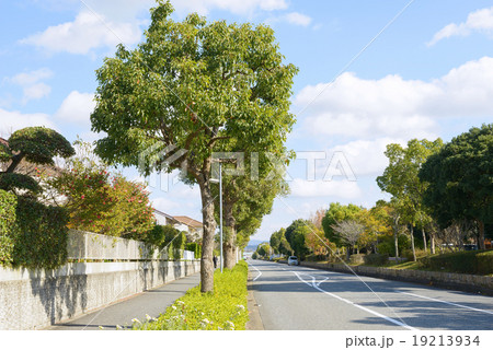 西神中央 西神中央 19213934