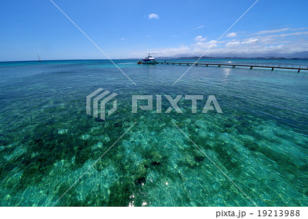 青い海 青い海 19213988