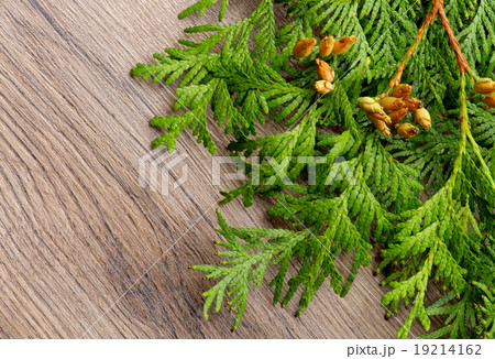 Christmas Decoration Theme 19214162