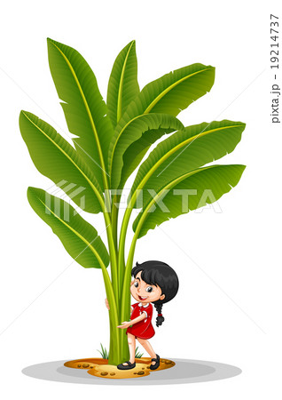 Little girl and banana tree 19214737