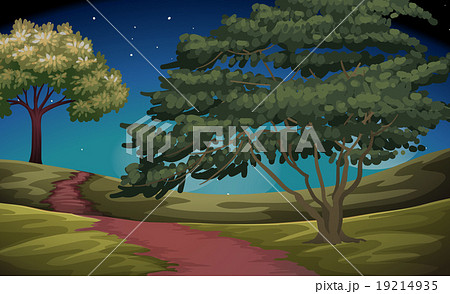 Nature scene of countryside at night 19214935