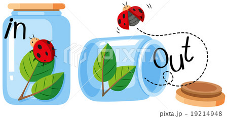 Ladybug in and out of the jar 19214948