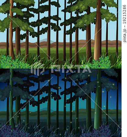Forest scene at day time and night time 19215286