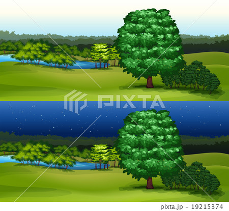 Green field at daytime and night time 19215374