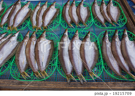 カマス　干し魚 19215709