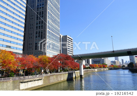 大阪 中之島周辺の風景 大阪 中之島周辺の風景 19216542