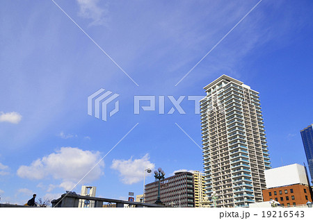 大阪 中之島の風景 大阪 中之島の風景 19216543