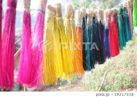 selected focus line up of colored sedge 19217338