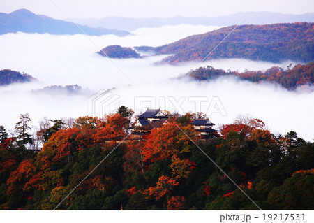 天空の城263 天空の城263 19217531